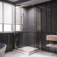 Душевой угол раздвижной 1100Х900x2000 цвет профиля Золото брашированное стекло прозрачное  PTC20-G-11090-01-C4 Premium Veconi